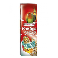 STICKS PARROCCHETTI FRUTTA TROPICALE 70X2 140GR