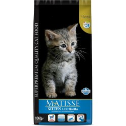 MATISSE KITTEN CHATON 1-12MESI 1.5KG