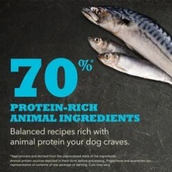 Acana Dog Highest Protein Pacifica 11.4kg | Pesce per Cani