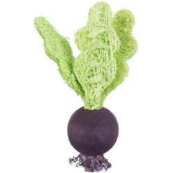 TRIXIE SET di GIOCHI in LEGNO e LUFFA 6/9cm | Giochi Naturali per Cani