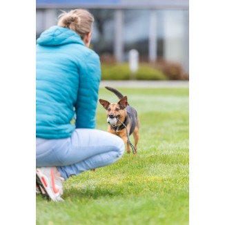 Trixie Palla con Corda in Gomma Naturale 4.5cm | Gioco per Cani Piccoli