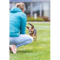Trixie Palla con Corda in Gomma Naturale 4.5cm | Gioco per Cani Piccoli