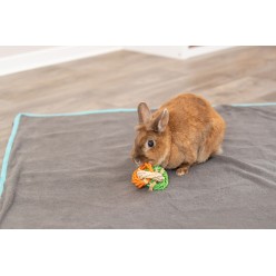 Trixie Anelli Gioco in Mais e Legno | Gioco Naturale per Cani