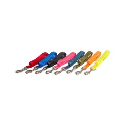 FARMCOMPANY GUINZAGLIO NYLON 10X120  M BLU