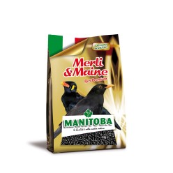 Manitoba Best Premium Insettivori 1kg | Mangime per Merli e Maine