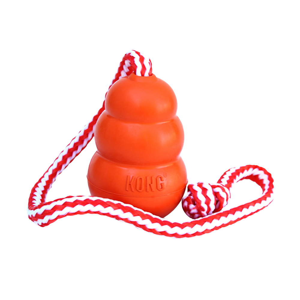 Kong Aqua Large | Gioco Galleggiante per Cani Taglia Grande