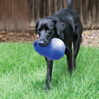Kong Bounzer | Gioco Rimbalzante per Cani