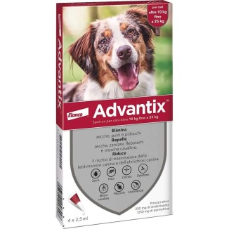 ADVANTIX 10-25 KG (6p)