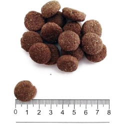 PROLIFE SMART MEDIUM/LARGE  POLLO E RISO 12KG