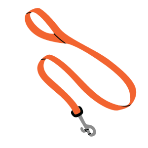 Accessori