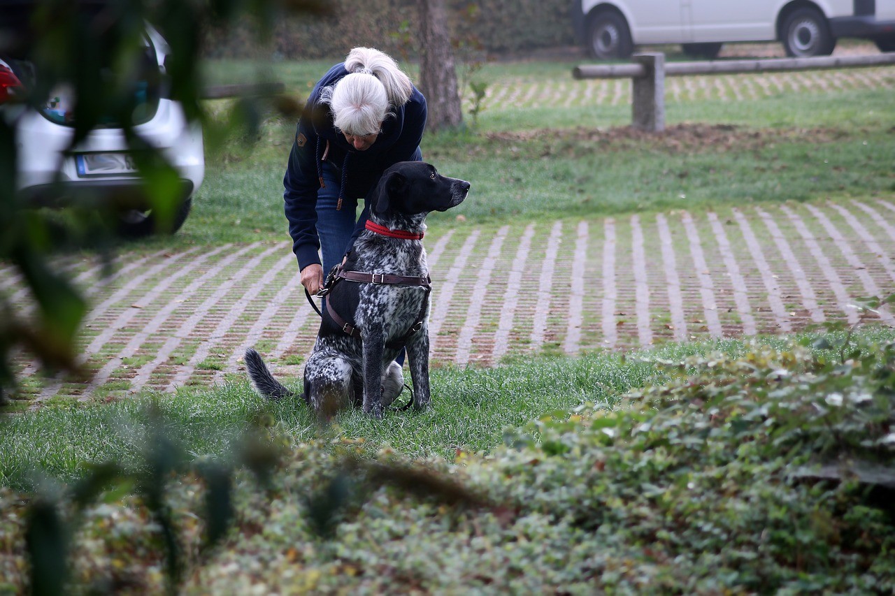 Come Addestrare un Cane Cucciolo – Guida Passo Passo