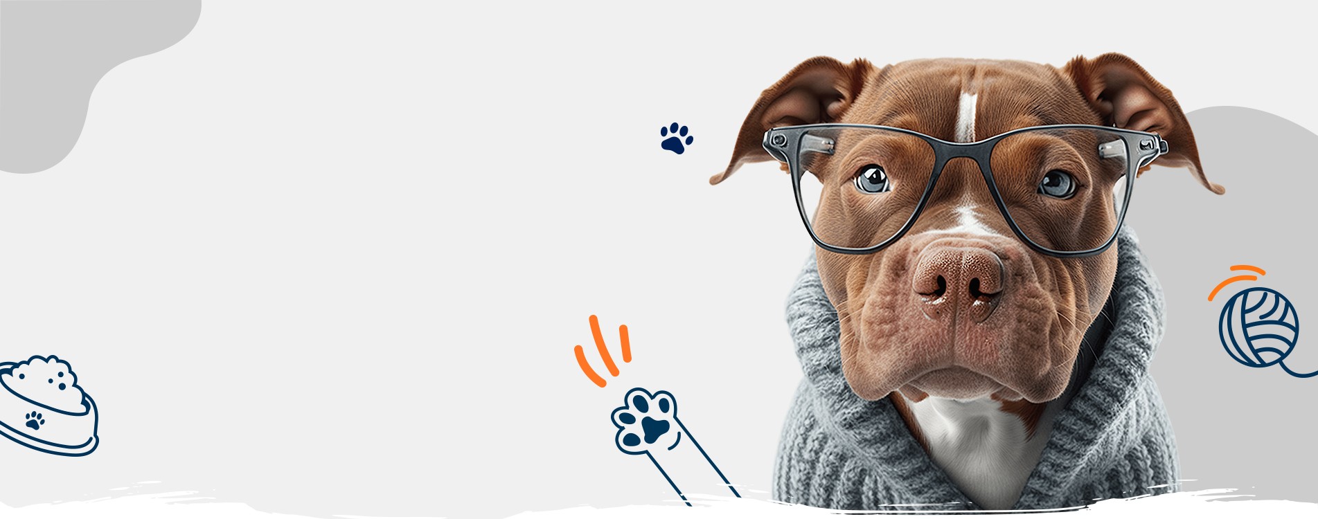 offerte-cani